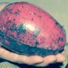 Red and black dragon egg bath bombs Red and black dragon egg bath bombs